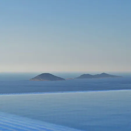Calico * Kalkan