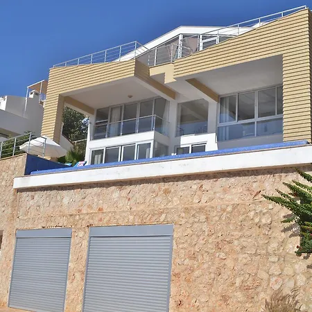 Calico * Kalkan